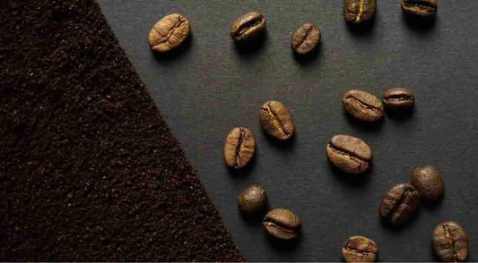 The Complete Guide to Coffee Beans: 4 Types